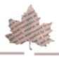 Canadian Humanities Computing 2003: Collaborative Mind Technologies