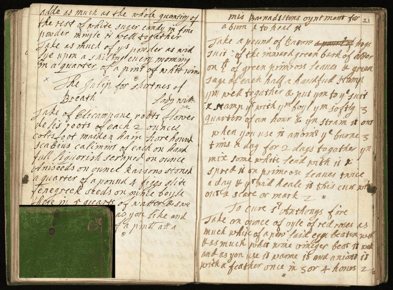  Example of a high-quality pdf from the Wellcome Library, MS
3768, Mrs Jane Parker her Boock, ff.
20v-21. Inset detail from manuscript cover. Images courtesy of the
Wellcome Library.